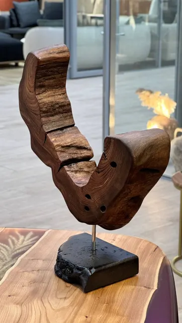 DECOR "Wing" — ракурс 2